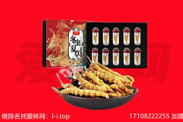 桃江县回收虫草.jpg